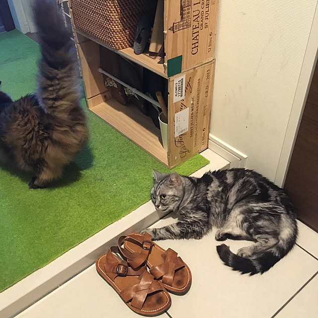 mikomaruさんの実例写真