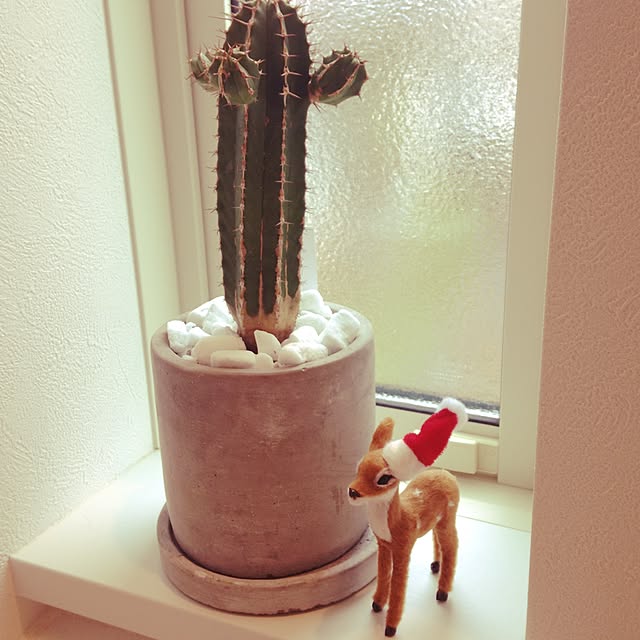 chichicさんの実例写真