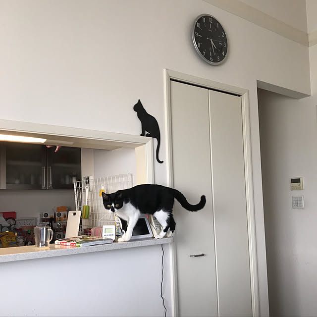 akuakuさんの実例写真