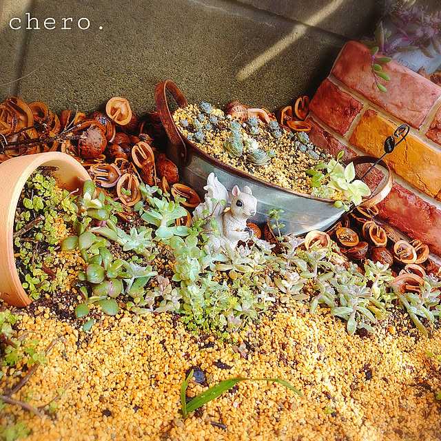 chero.さんの実例写真