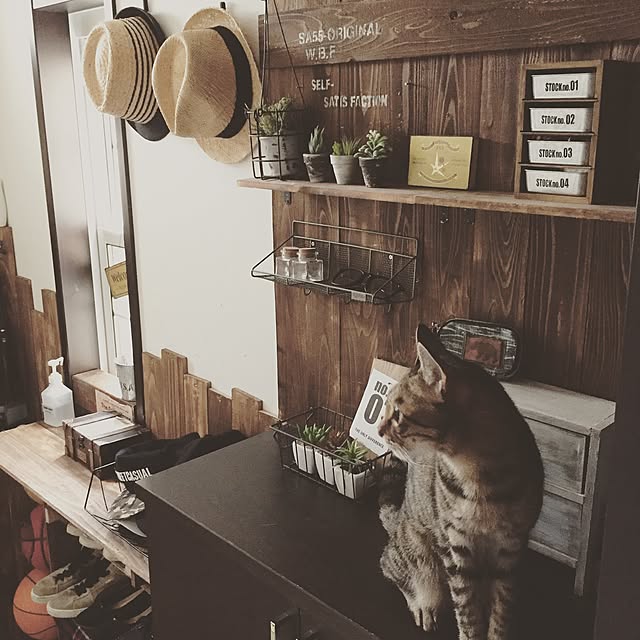 kodakusan.sakiさんの実例写真