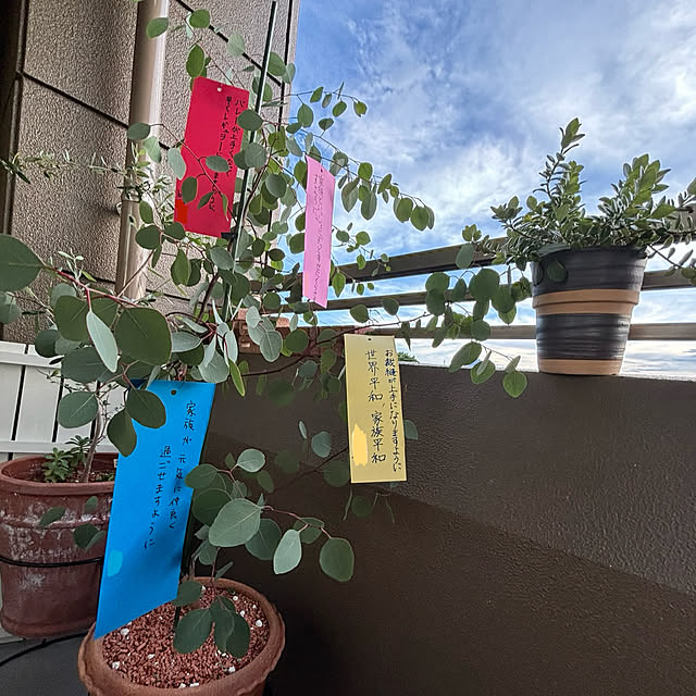 koshiregutyoさんの実例写真