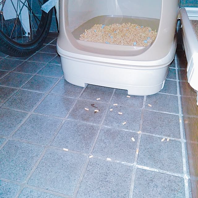 cocoroさんの部屋