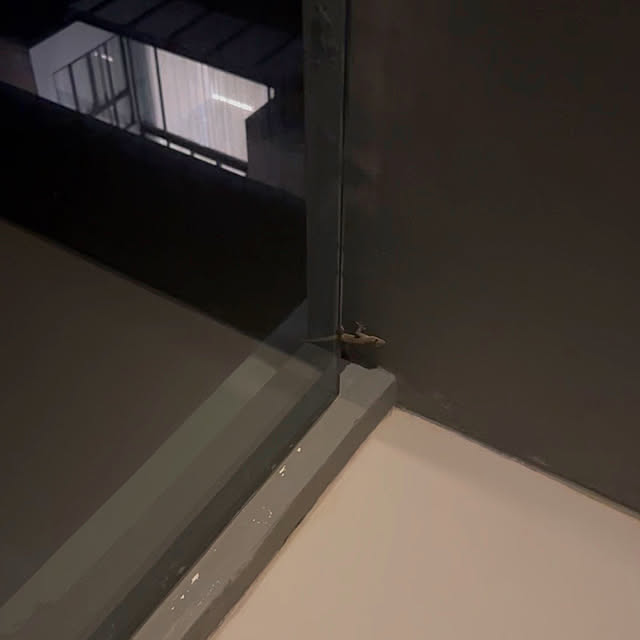 nee_roomさんの部屋