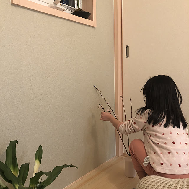 ninさんの実例写真