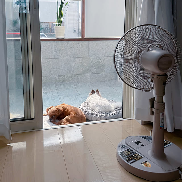 makoさんの実例写真