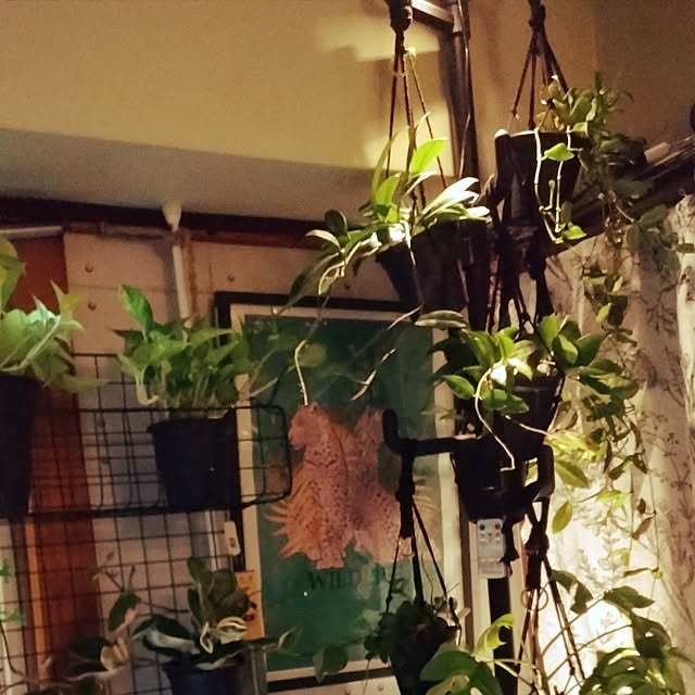runaさんの部屋