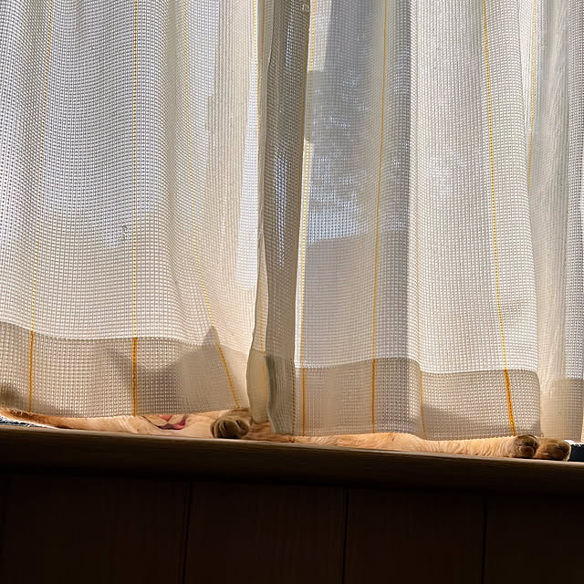 mohhaさんの実例写真
