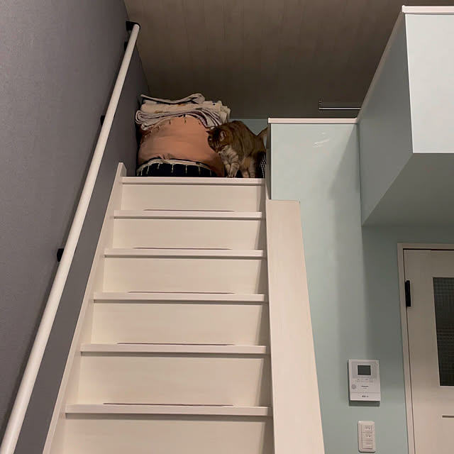 emymomoさんの部屋