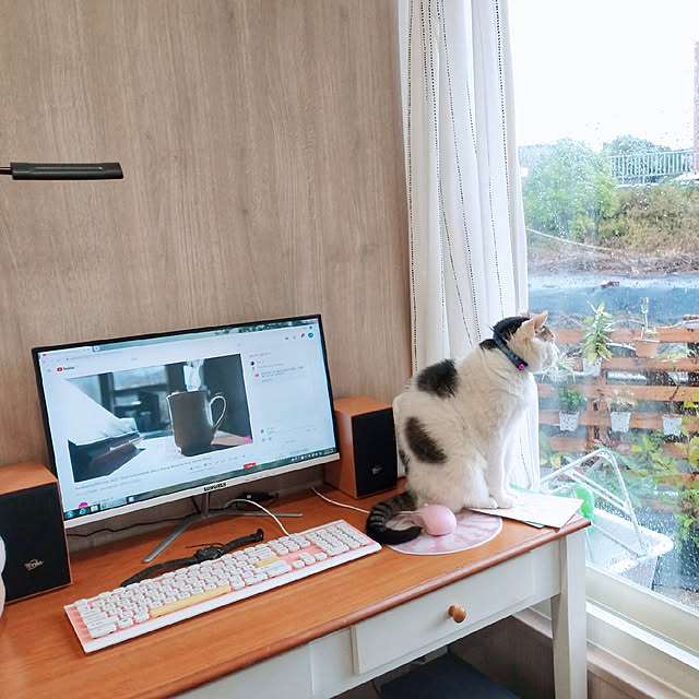 机のインテリア実例 - 2019-12-06 14:21:12
