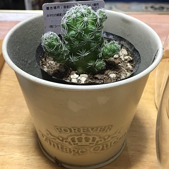 Ryosukiさんの実例写真