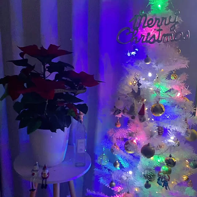 f.sさんの実例写真