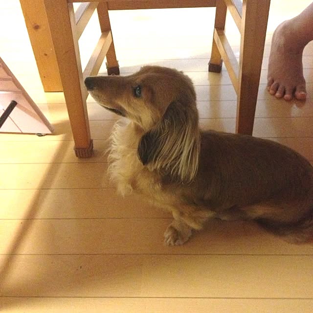 mami.さんの実例写真