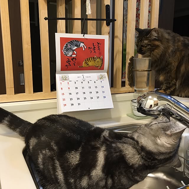 mikomaruさんの実例写真