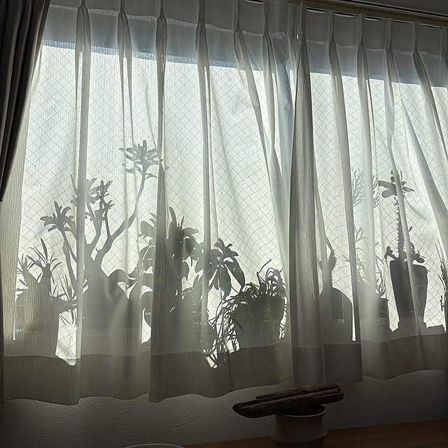 otanuさんの部屋