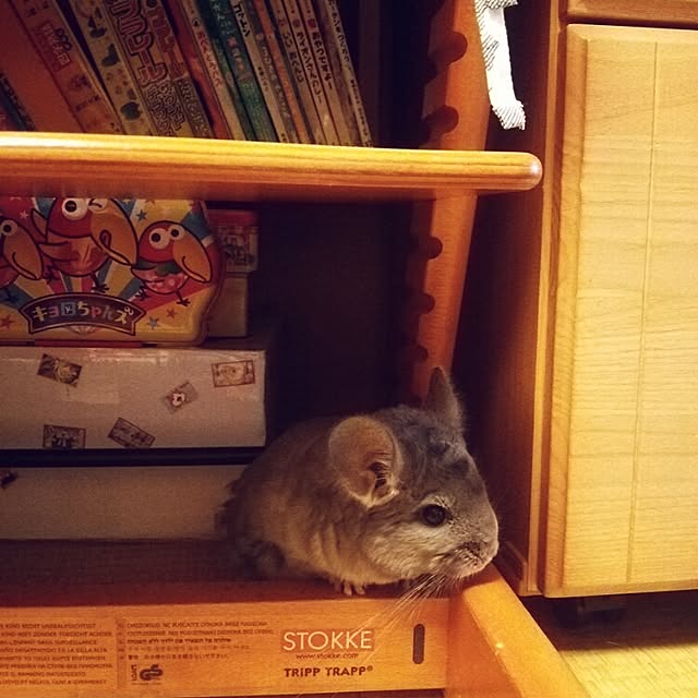 sakusakuさんの実例写真
