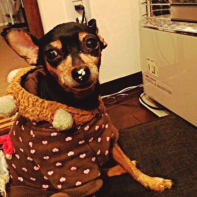 acoさんの実例写真