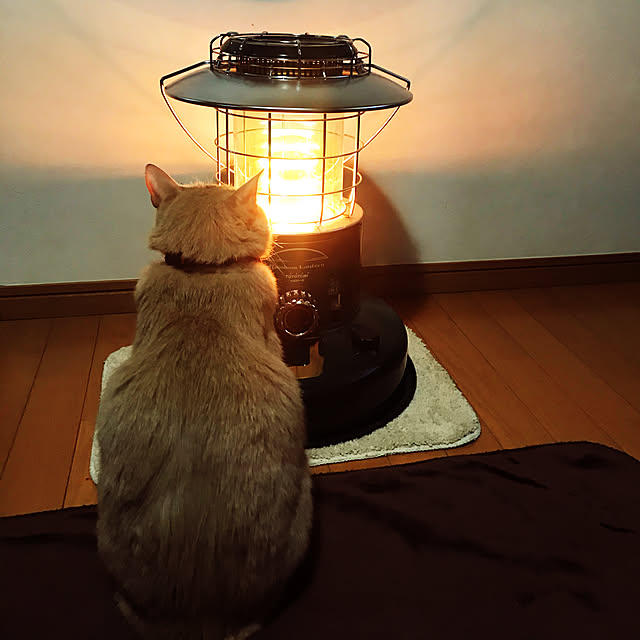 mikan161さんの実例写真