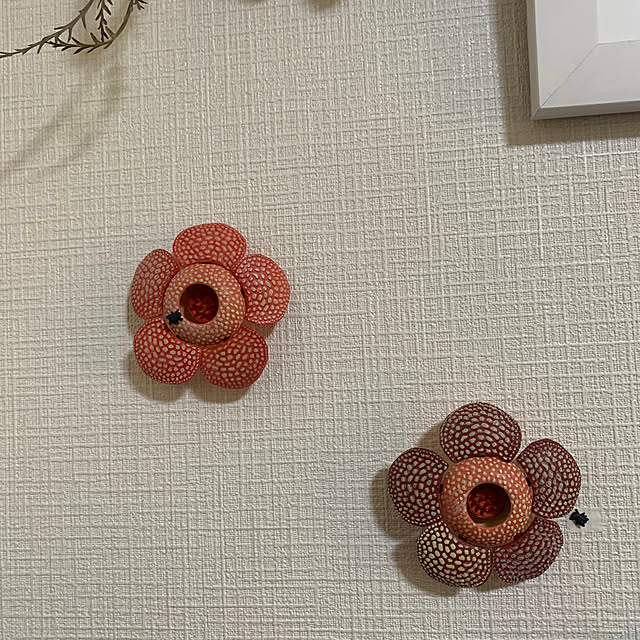 atsukoさんの部屋