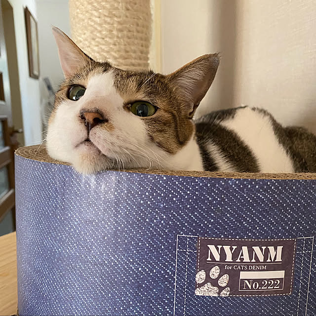 moainanoさんの実例写真