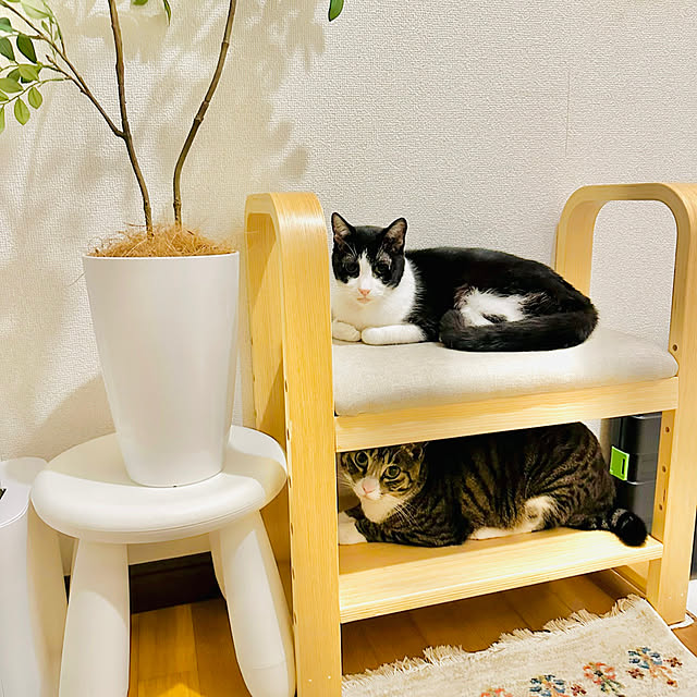 brbrnknkさんの実例写真