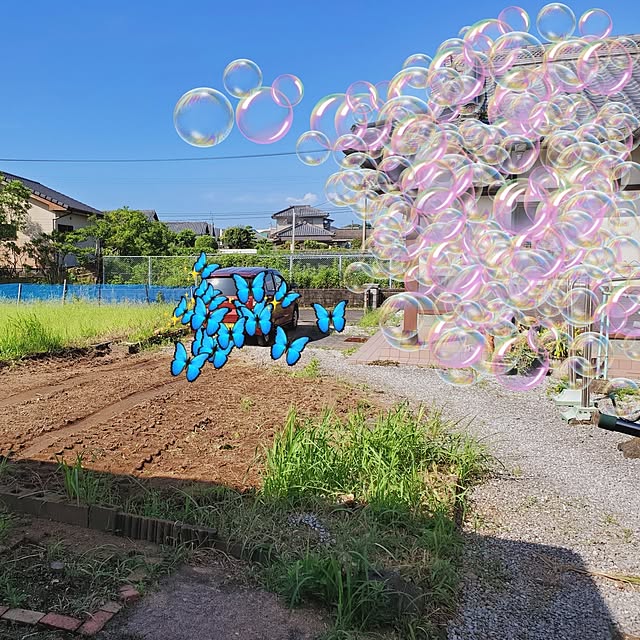 実例写真