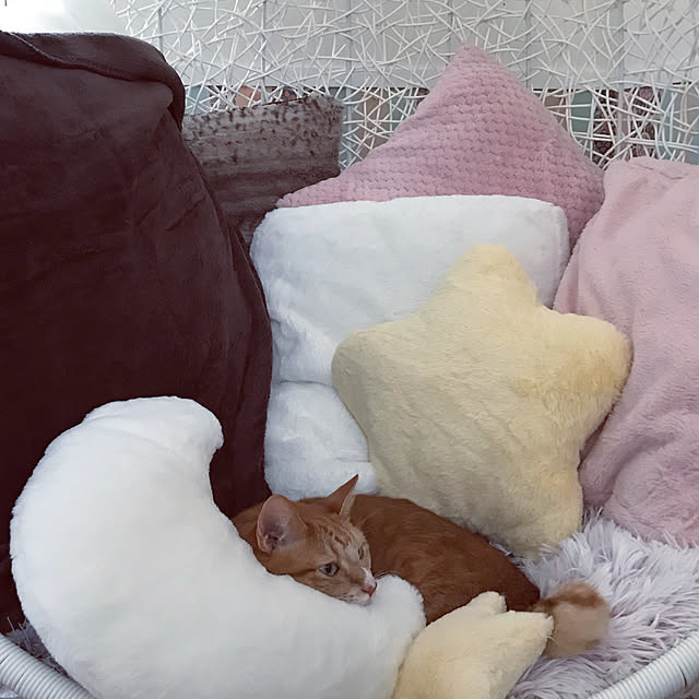 jucakikkaさんの実例写真