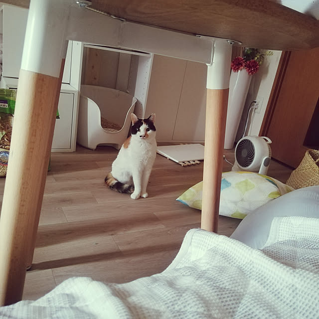 chocoさんの実例写真