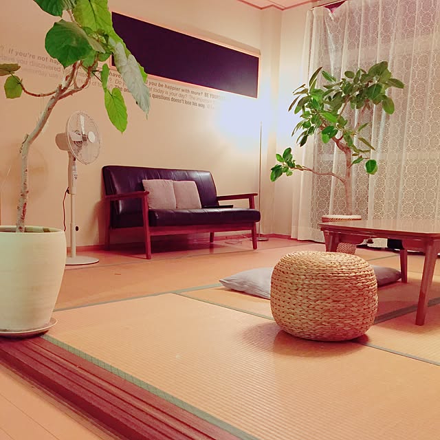 部屋全体/ニトリ/NO GREEN NO LIFE/シンプル/自然と暮らしたい...などのインテリア実例 - 2016-06-20 15:16:15