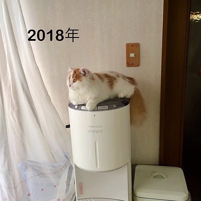 キッチン/セリア/ハンガーフックDIY/間接照明/壁紙DIY...などのインテリア実例 - 2025-04-29 12:05:21