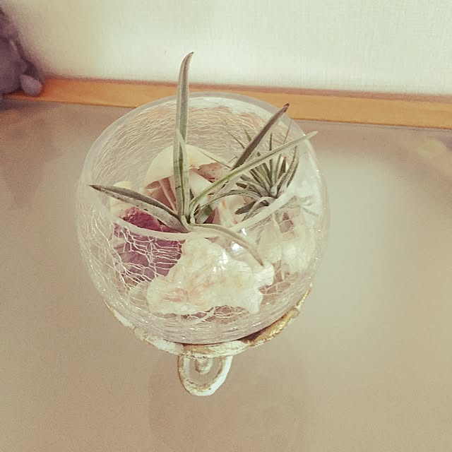 kurukurutankobuさんの実例写真