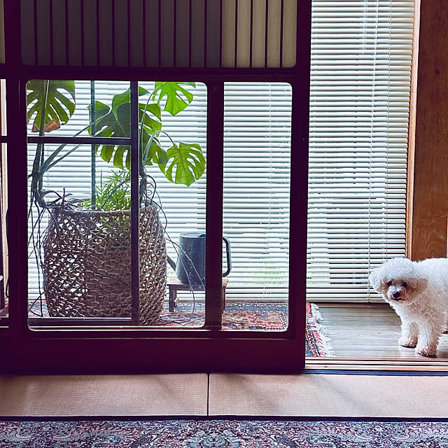 chacoさんの実例写真