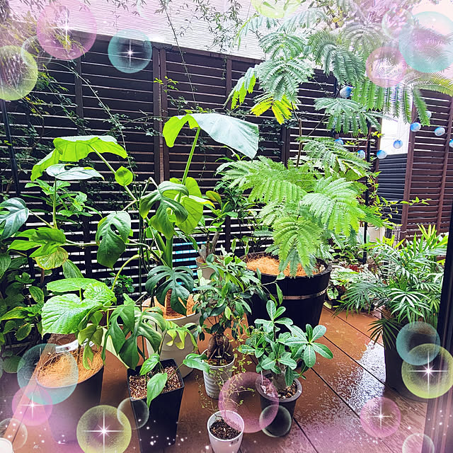 mimi828さんの実例写真