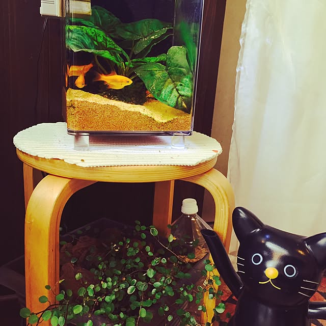 leimanaさんの実例写真