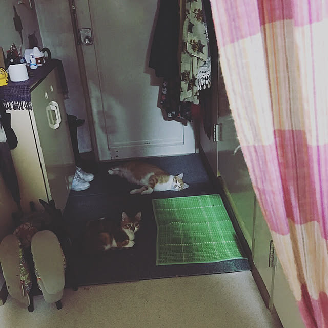 Lankaさんの実例写真