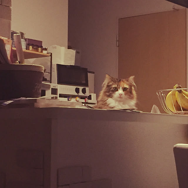 Kiriさんの実例写真
