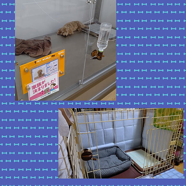 yumirinさんの実例写真