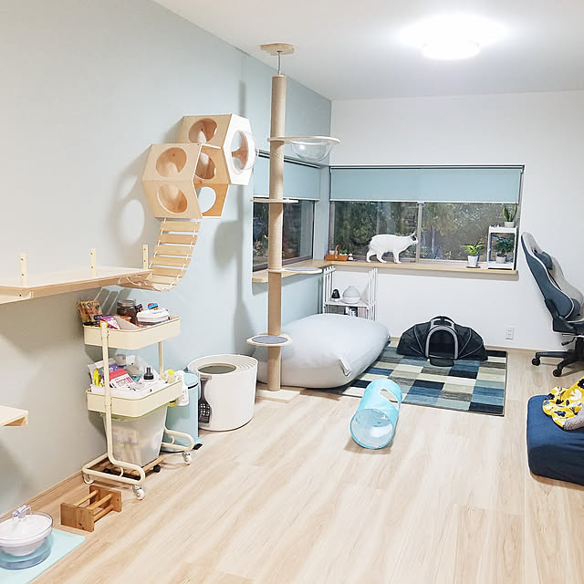 minesako163さんの実例写真