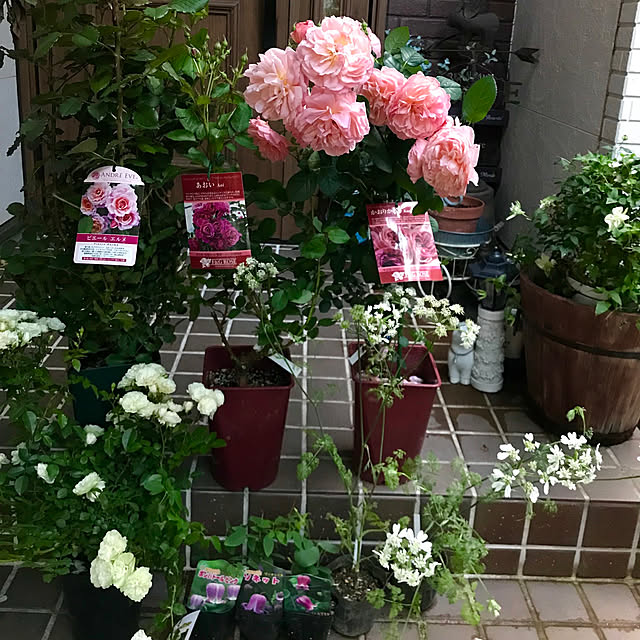 butachanさんの実例写真