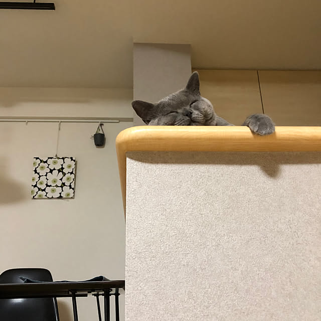 GUMIMINさんの部屋