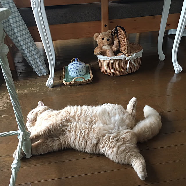 naokoさんの部屋