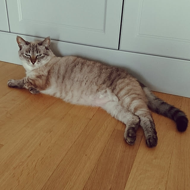 bonobono54さんの実例写真