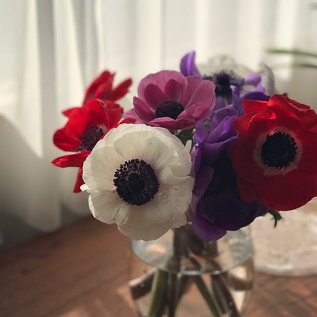 megley11さんの実例写真