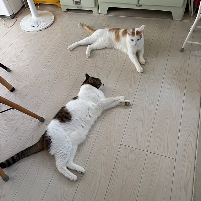 arayanさんの部屋