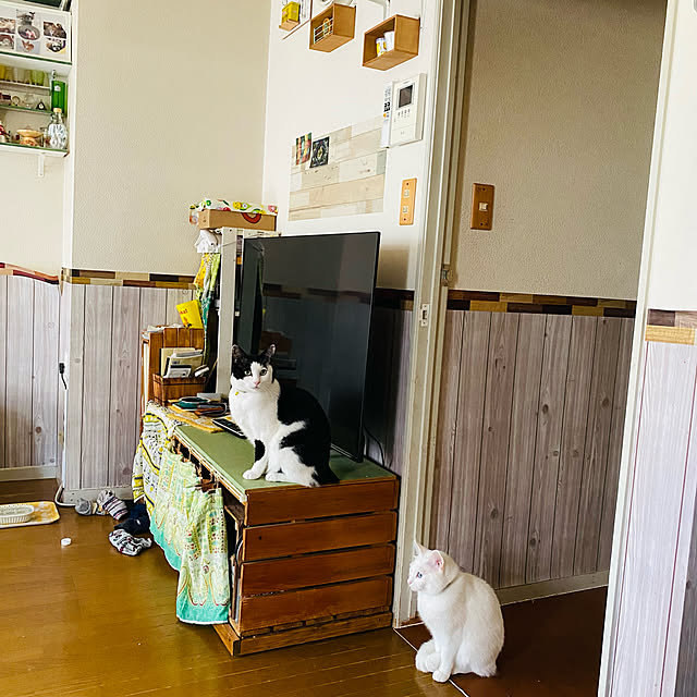SHIHOさんの実例写真