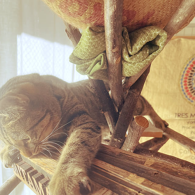 Mさんの部屋