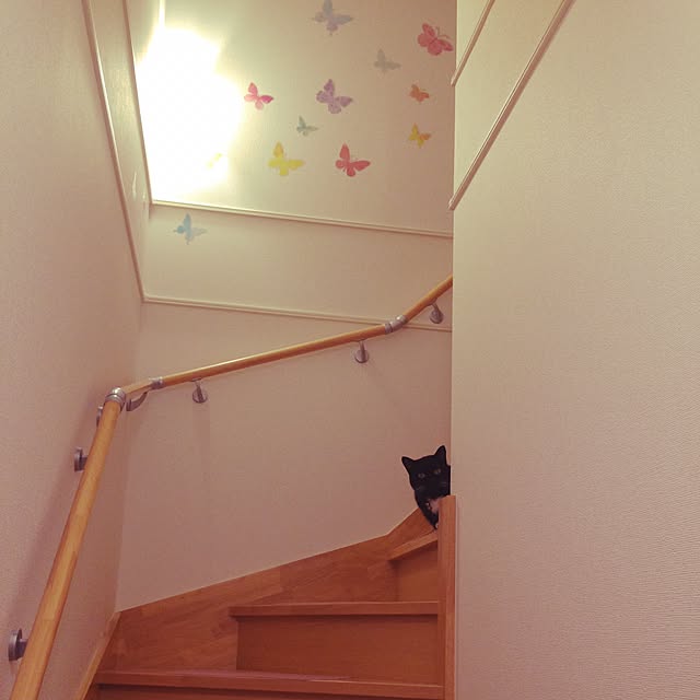Hecacoさんの実例写真