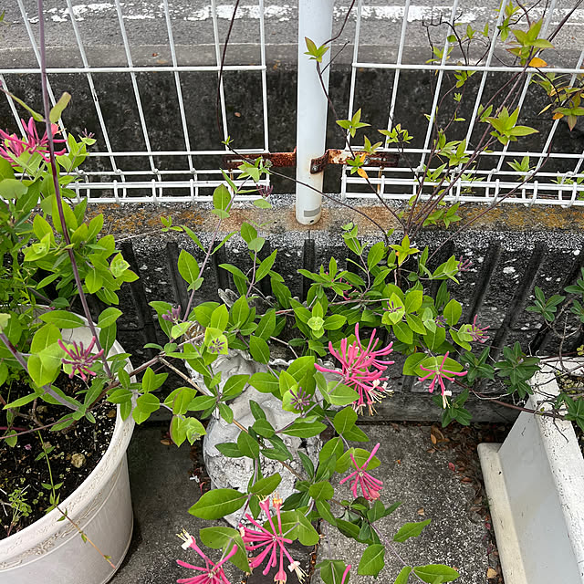 AYUKOさんの部屋