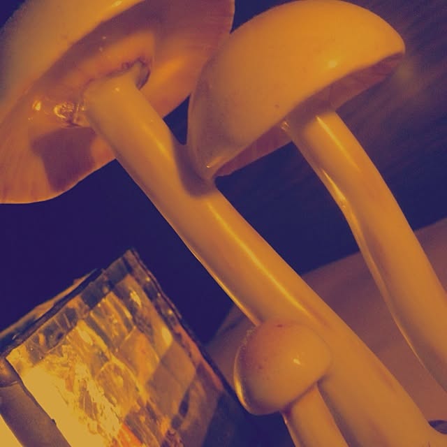 ramuさんの実例写真