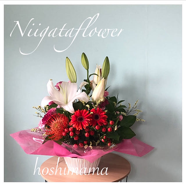 hoshimamaさんの実例写真